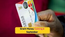 SASSA September 2025 Payment Schedule: Key Dates for Pension, Child, and Disability Grants Starting September 2nd